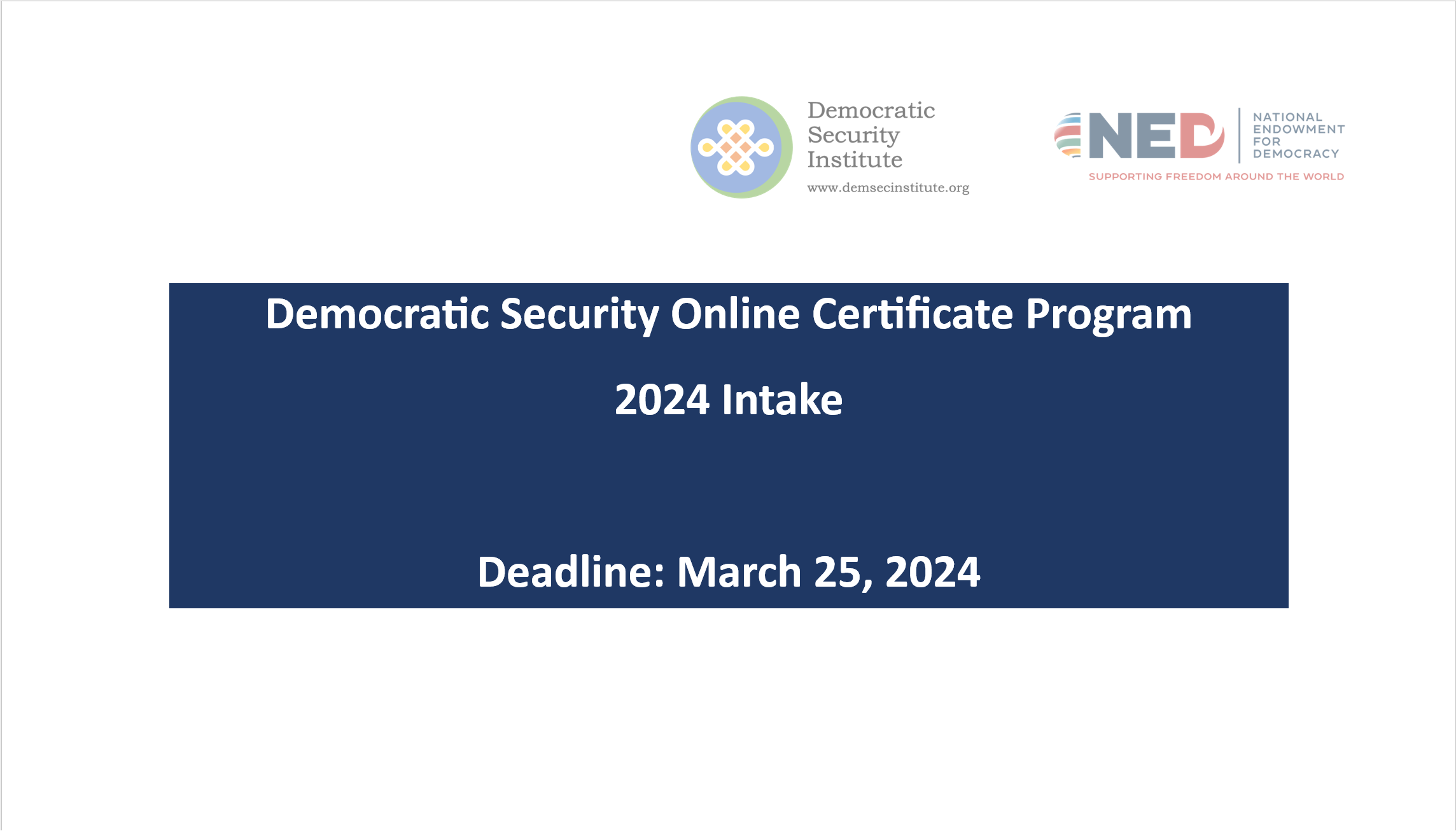 Democratic Security Online Certificate Program