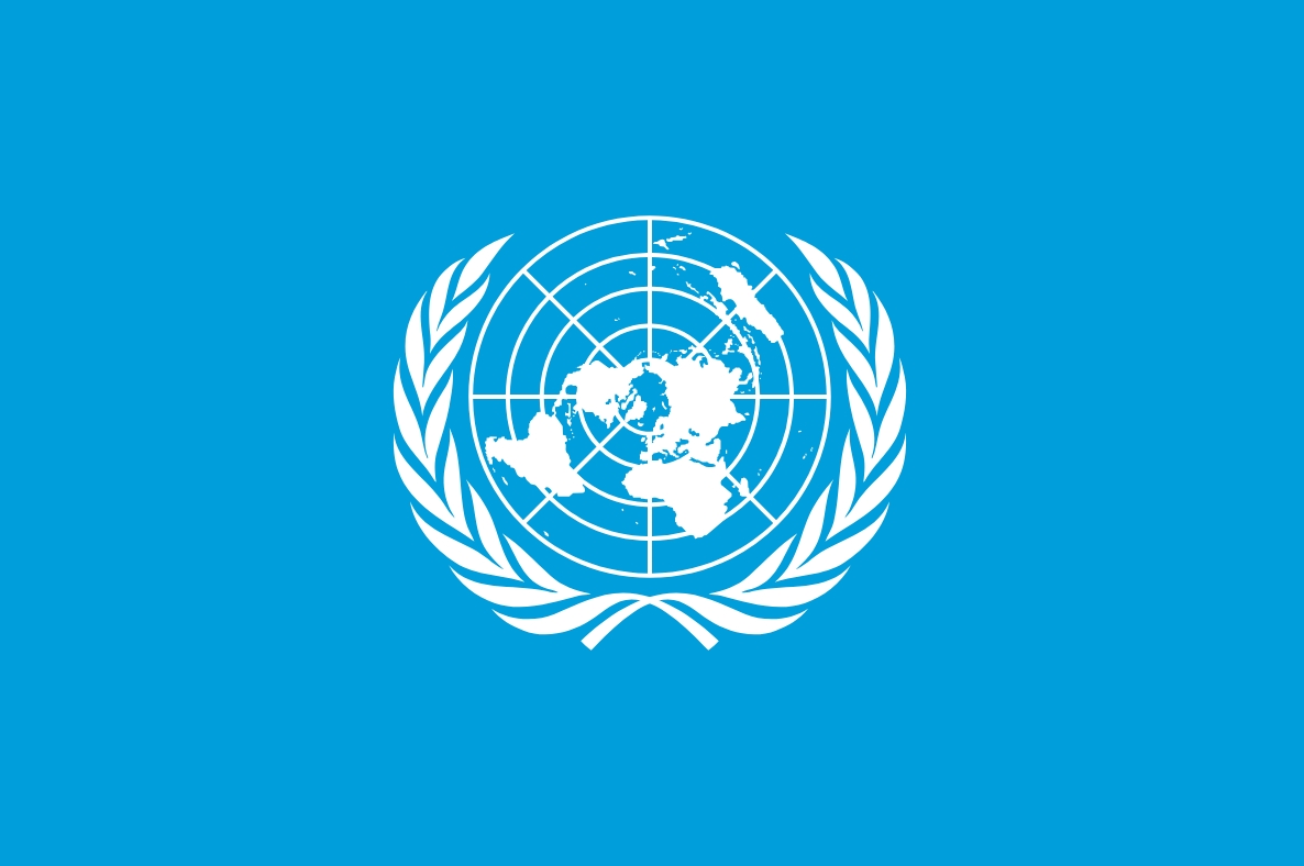 Are we looking at the United Nations the Wrong Way? 